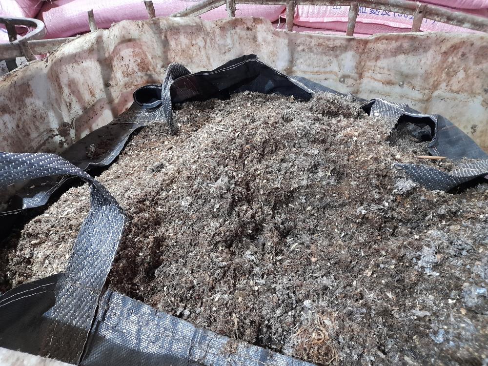 0911.未完成發酵之廚餘殘渣、蟲體蟲糞等混合物.jpg